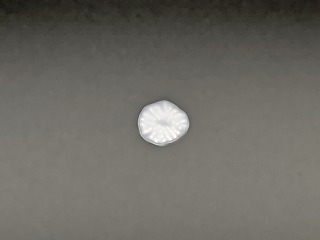 磨き後の塗装肌